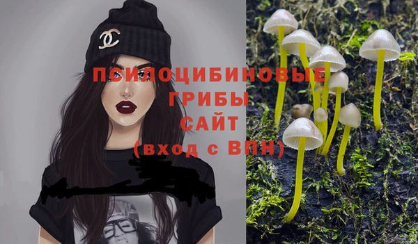 трава Абинск