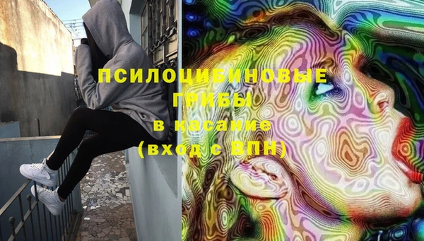 ECSTASY Абаза