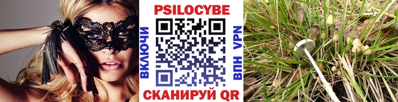 где можно купить наркотик  hydra ссылки  Галлюциногенные грибы мицелий  Алейск 
