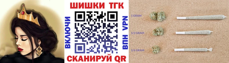 дарнет шоп  Алейск  Шишки марихуана сатива 